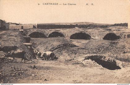 BF9094 les citernes cow carthage tunisia   Tunisia