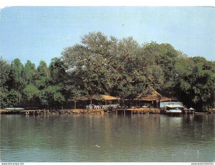 BG14063 the gambia inner music river excursion