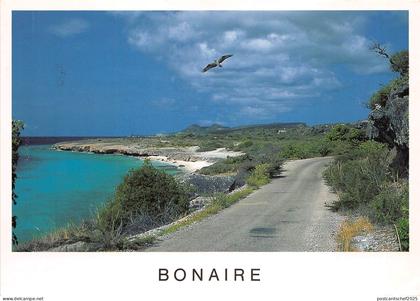 BG14308 bonaire netherlands antilles   caribbean islands