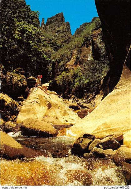 BG21010 drakensberg natal south africa