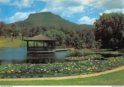 BR101856 wollongong botanic garden keiraville nsw   australia