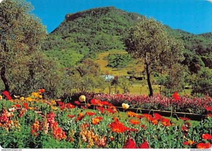 BR101857  wollongong mt keira botanical gardens nsw  australia