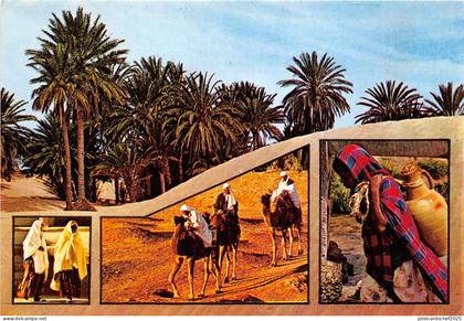 BR25826 tunisia le Sud tunisia