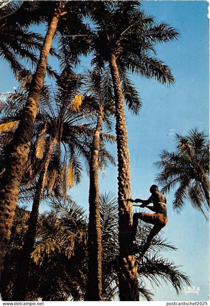 BR27620 Senegal cap skirung scene de vie senegal
