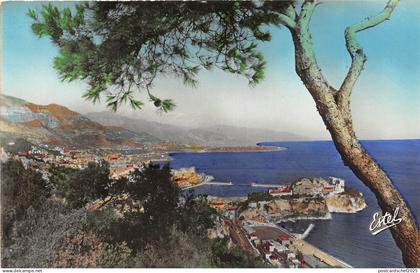 BR39021 Monaco vue generale monaco