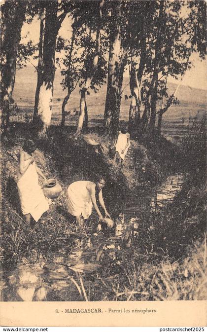 BR56850 madagascar parmi le nenupahrs    Africa  Madagascar
