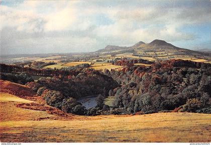 BR91709 the tweed at bemersyde roxburghshire scotland