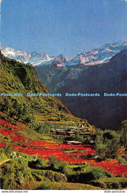 D006491 India. Janakibai Chatti. Badrinath. Uttar Pradesh. India Tourism Develop