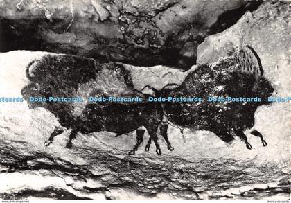 D047211 Grotte Prehistorique de Lascaux Montignac sur Vezere. Photo Windels. RP