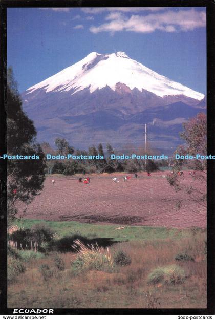 D118136 Ecuador. Volcan Cotopaxi. Hyla Postales