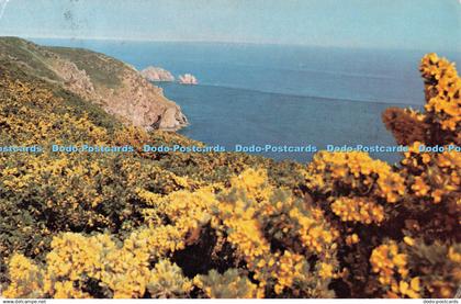 D121007 Alderney Gorse on the South Coast The States of Alderney