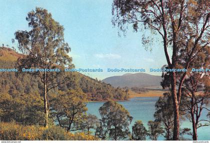 D121619 Loch Pityoulish and Cairngorms Inverness shire Dixon