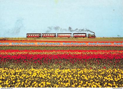 D132745 Heeft Het Behoud Van de Stoomtram Stoomtram Hoorn Medemblik B V F v d Gr