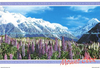 D136546 Mount Cook New Zealand Summer Mt Cook National Park Tiki Pictorial Publi