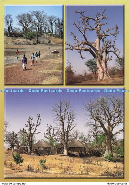 D139521 Gambia Aduna Productions Phil Gysen Multi View