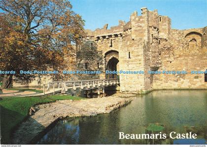 D142099 Beaumaris Castle Gateway Anglesey Salmon