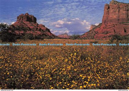 D194974 Bell and Cathedral Rocks near Sedona Arizona in the Beautiful Oak Creek