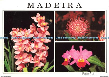 D204506 Madeira Funchal Madeira Orchid Farm Francisco Ribeiro Multi View