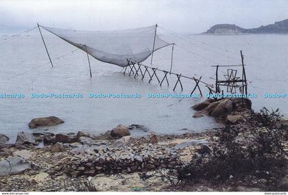 D206250 China Future Pot Card China