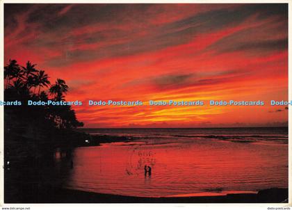 D211895 Aloha From Hawaii An Intimate Moment at Day End Kauai Impact John Wagner