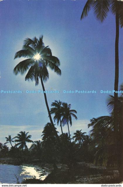 D213666 Belize in Natural Colour Rum Point Cubola Productions