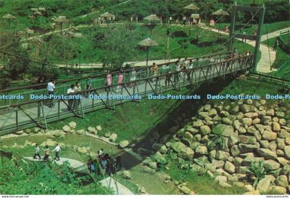 D225199 Singapore Jurong The Jurong Bird Park S W Singapore