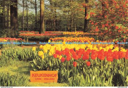 D227840 Holland Lisse Keukenhof Planeta