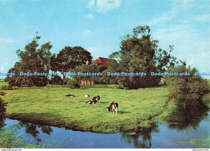 D246488 Friesland Sleding