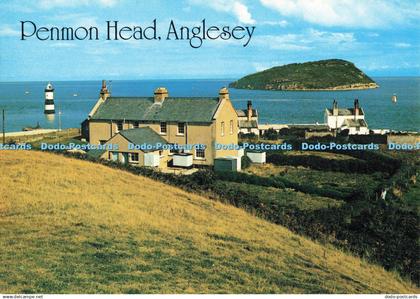 D256979 Anglesey Penmon Head J Salmon