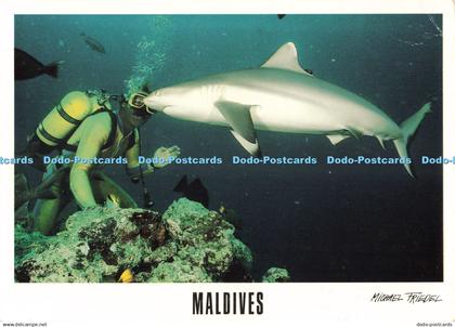 D266273 Maldives Shark Diving Herwarth Voigtmann Michel Friedel Books