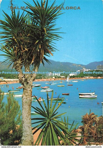 D272110 Mallorca Palmanova Hoteles Malborquines Icaria