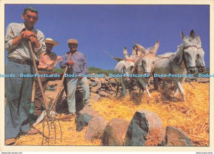 D289885 Islas Canarias. Art Edition. Reiner Loos