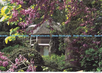 D299424 Bedfordshire. Swiss Garden. Bedfordshire County Council. Peter Aprahamia