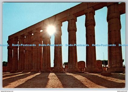 D312018 Luxor. Papyrus Columns in Luxor Tempel. Al Ahram Est. Dino Sassi