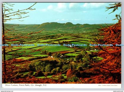 D324160 Ireland. Slieve Gullion Forest Parks. Co Armagh. N. I. Northern Ireland
