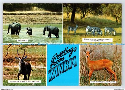D336239 Greetings From Zambia. Elephants. Sapra Studio. Nairobi. Zambia in the S