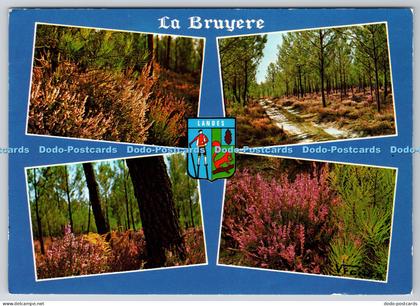 L343750 Landes La Bruyere Vignes Multi View