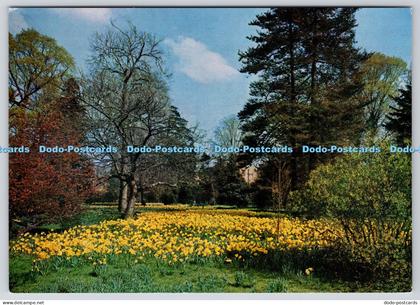 L351880 Hampton Court Palace. The Wilderness. Colin Richardson Printers. Crown