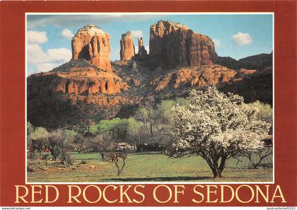 Lot 13 usa red rock crossing sedona arizona  courthouse rock