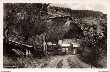 MONDE - Schwazwaldhaus - Carte Postale Ancienne