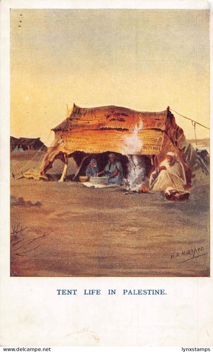 Palestine Tent Life in Palestine Ethnic Natives Making Food vintage postcard