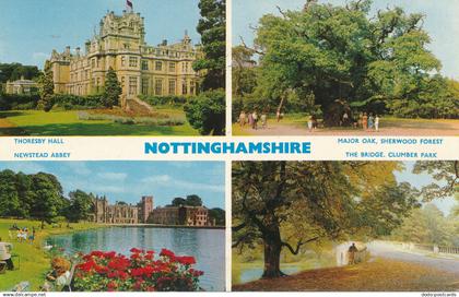 PC72993 Nottinghamshire. Multi view. Dennis. 1968