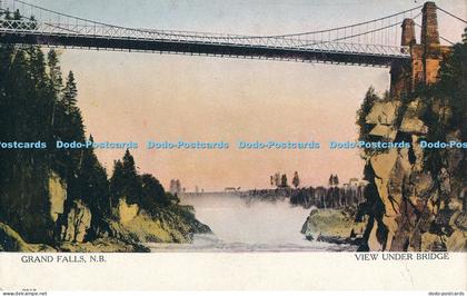 R000072 Grand Falls N B View Under Bridge Warwick Bros and Rutter