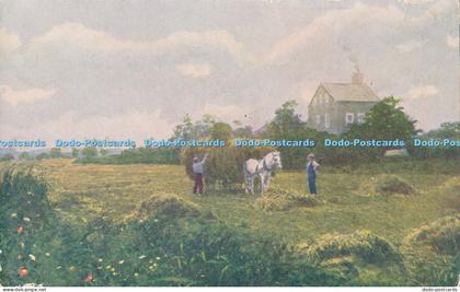 R014017 Lily Pond Meadows Nantucket H L Wyer