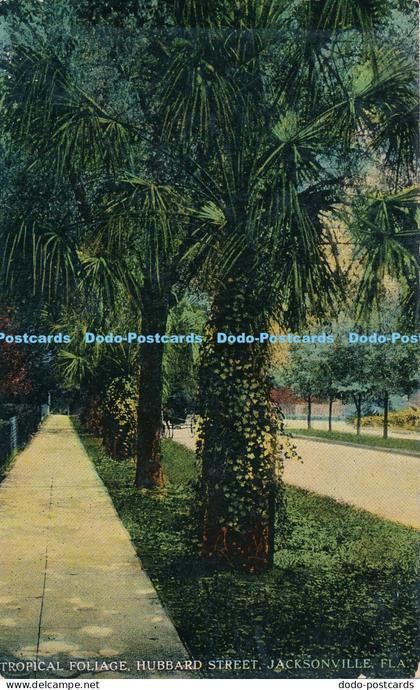 R015381 Tropical Foliage Hubbard Street Jacksonville Fla