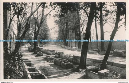 R018808 Arles en Provence Les Alyscamps Champs Elysees Romains George Arles