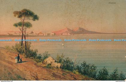 R027979 Naples Stengel