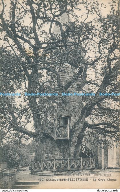 R030543 Allouville Bellefosse Le Gros Chene 1914
