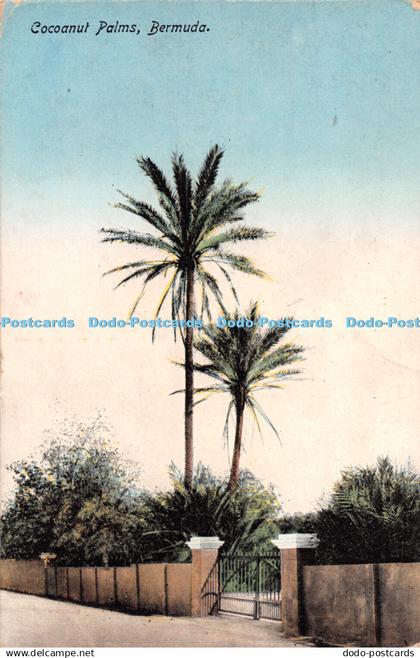 R299821 Bermuda Coconut Palms Yankee Store and Bermuda Drug No 4