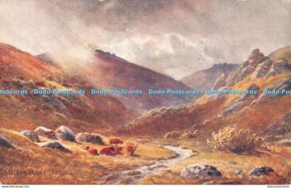 R314159 Mellon Valley Dartmoor The Dartmoor Series Jackson and Morrish J Barrett